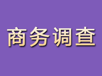 曲水商务调查